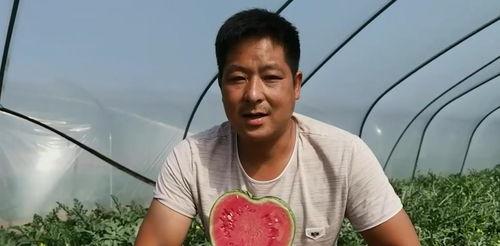 娱乐圈人名黑土 吃瓜