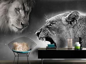 黑色背景狮子,神秘黑影中的王者风采